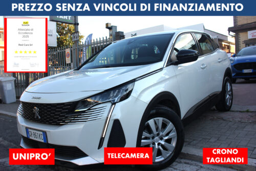 PEUGEUOT 3008 1.5 BLUEHDI 130 CV AUTOMATICA (EAT8) ACTIVE BUSINESS AUTOCARRO N1